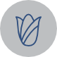 Óleos vegetais
